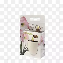 咖啡杯咖啡厅花盆杯-空若网 咖啡杯咖啡厅花盆杯-空若网