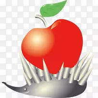 苹果奥格里斯-红苹果-空若网 苹果奥格里斯-红苹果-空若网