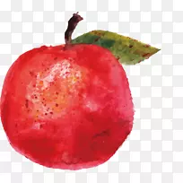 ������Ҷ���ʹ�����������-��ƻ��-������