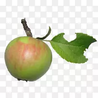 ƻ�����ذ¸���˹ƻ���ֹ�˾-������