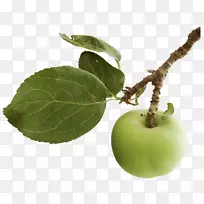 Æ»¹ûµçÄÔÈí¼þ¼ôÌù»-Æ»¹ûÒ¶-¿ÕÈôÍø Æ»¹ûµçÄÔÈí¼þ¼ôÌù»-Æ»¹ûÒ¶-¿ÕÈôÍø