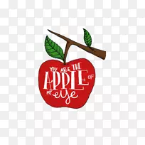 ƻ��-��ͨ�����л�ˮ��ƻ��-������