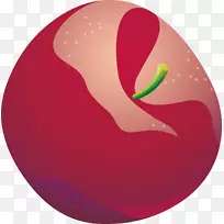 ƻ����ƻ��-������