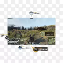 ԰���õء���ľ��������������-��ľ-������