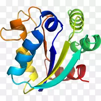 人体珠宝系列剪贴画.设计-空若网 人体珠宝系列剪贴画.设计-空若网