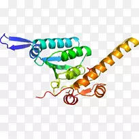 人体首饰有机体线剪贴画线-空若网 人体首饰有机体线剪贴画线-空若网
