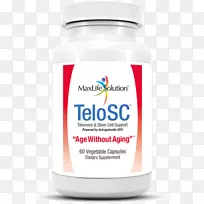 饮食补充剂-老龄化-延长寿命-科学-空若网 饮食补充剂-老龄化-延长寿命-科学-空若网