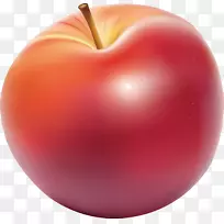 纸苹果奥格利斯&苹果绘画研究-空若网 纸苹果奥格利斯&苹果绘画研究-空若网