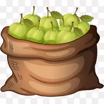 番石榴免费剪贴画-粉刷苹果袋-空若网 番石榴免费剪贴画-粉刷苹果袋-空若网