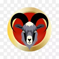 牛鼻夹艺术-空若网 牛鼻夹艺术-空若网