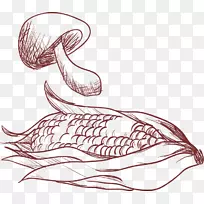 蔬菜食品番茄-PNG玉米蘑菇载体材料-空若网 蔬菜食品番茄-PNG玉米蘑菇载体材料-空若网