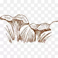 ţ�ű�����ʳƷ�߲�����Ģ��-������