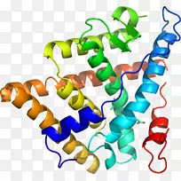 人体首饰有机体线剪贴画线-空若网 人体首饰有机体线剪贴画线-空若网