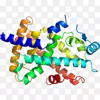 �ߵ������������-������