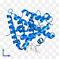 线点生物剪贴画线-空若网 线点生物剪贴画线-空若网