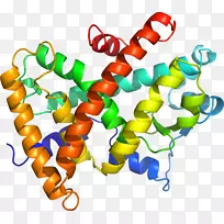 人体珠宝线剪贴画线-空若网 人体珠宝线剪贴画线-空若网