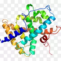 ���������л����߼�������-������