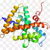 人体首饰有机体线剪贴画线-空若网 人体首饰有机体线剪贴画线-空若网