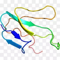 线点剪贴画-线-空若网 线点剪贴画-线-空若网