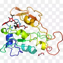 �ߵ������������-������