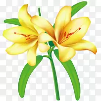 黄花剪贴画-黄花剪贴画-空若网 黄花剪贴画-黄花剪贴画-空若网