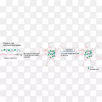 品牌树技术-树-空若网 品牌树技术-树-空若网
