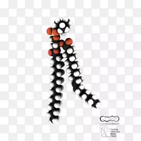 车身珠宝字体设计-空若网 车身珠宝字体设计-空若网