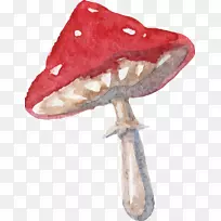 ����˿���ɾ��滭�е�ð��-ˮ�ʻ�����-�ֻ�Ģ��-������