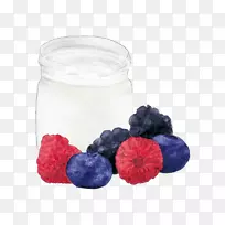 浆果奥格里斯-琼格乳酪-空若网 浆果奥格里斯-琼格乳酪-空若网