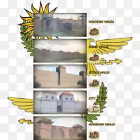 树型树-空若网 树型树-空若网