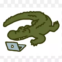 ���㲩��-������