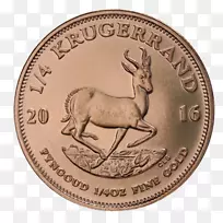 金币,金币-黄金投资-空若网 金币,金币-黄金投资-空若网