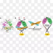 平面设计-设计-空若网 平面设计-设计-空若网