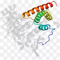 线点生物剪贴画线-空若网 线点生物剪贴画线-空若网