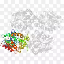 树木剪贴画-树-空若网 树木剪贴画-树-空若网