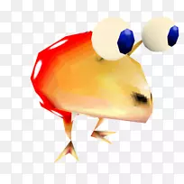 喙鸟-空若网 喙鸟-空若网