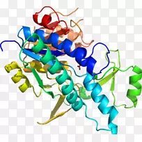 昆虫线动物剪贴画-昆虫-空若网 昆虫线动物剪贴画-昆虫-空若网