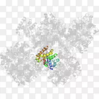 �����������ֽ����������-������