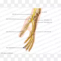 ��ָ��������񾭲���-������