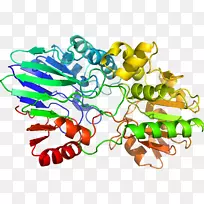生物线动物剪贴画线-空若网 生物线动物剪贴画线-空若网