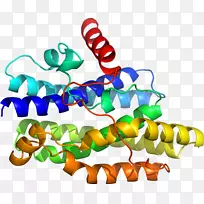 生物线动物剪贴画线-空若网 生物线动物剪贴画线-空若网