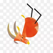 鸟嘴沙拉-空若网 鸟嘴沙拉-空若网