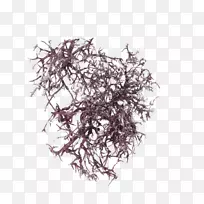 ���˸���-������