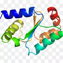 人体首饰有机体线剪贴画线-空若网 人体首饰有机体线剪贴画线-空若网