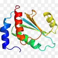人体珠宝线有机体剪贴画线-空若网 人体珠宝线有机体剪贴画线-空若网