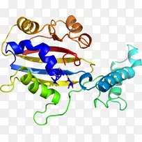 人体首饰有机体线剪贴画线-空若网 人体首饰有机体线剪贴画线-空若网
