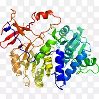 人体首饰有机体线剪贴画线-空若网 人体首饰有机体线剪贴画线-空若网
