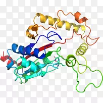 线点生物剪贴画线-空若网 线点生物剪贴画线-空若网