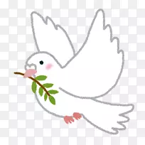 邮件特定記録博客广告信-帕洛马斯-空若网 邮件特定記録博客广告信-帕洛马斯-空若网