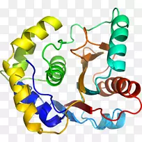 ������Ϊ�л����������-������